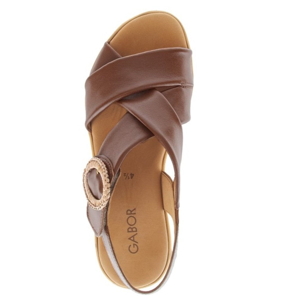 Gabor-Brown sandal with criss-cross straps and Gabor logo on a white background