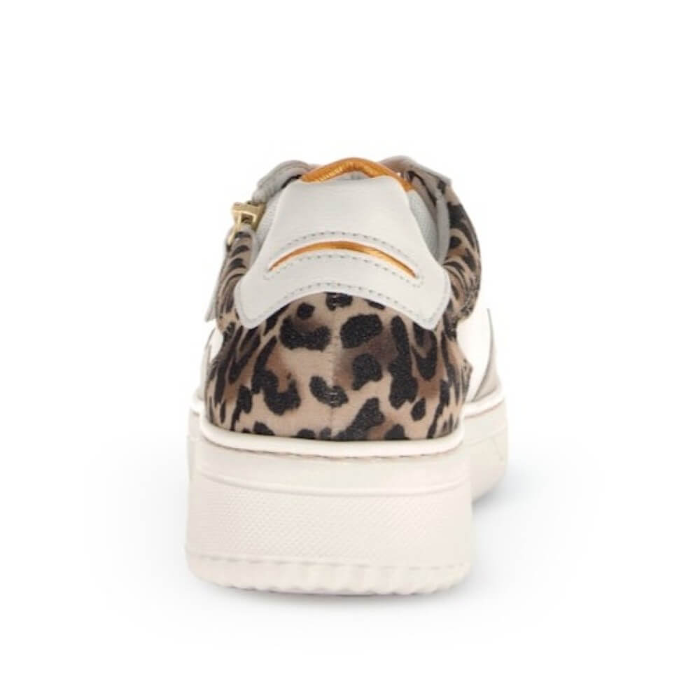 Sneaker with leopard print pattern on a white background