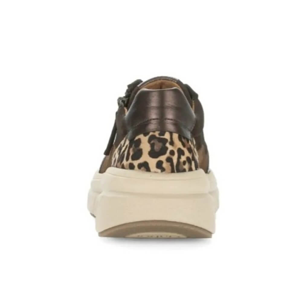 Brown and black sneaker with leopard print accents. Gabor Romance Leather Trainer 73.373 Chocolate Brown