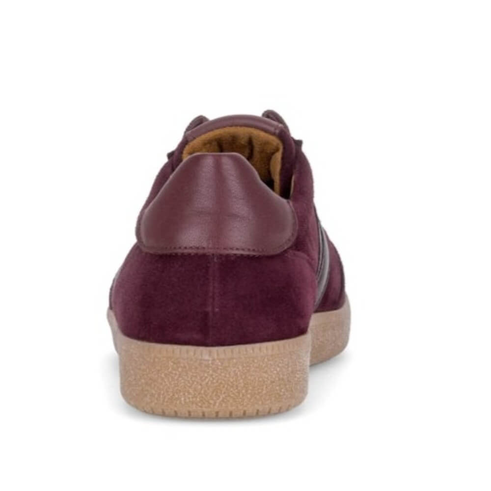 Gabor West 6011.01 Mulberry Suede Trainers