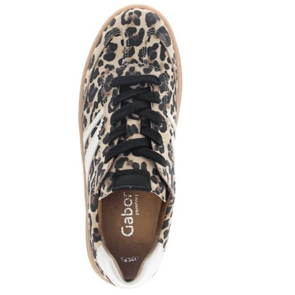 Leopard print sneaker with a white sole on a white background Gabor Dahma Laced Trainer 76.475.90 Leopard Print