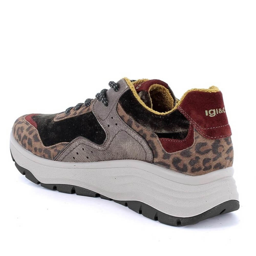 IGI & CO Wedge Trainer Leopard Multi-coloured