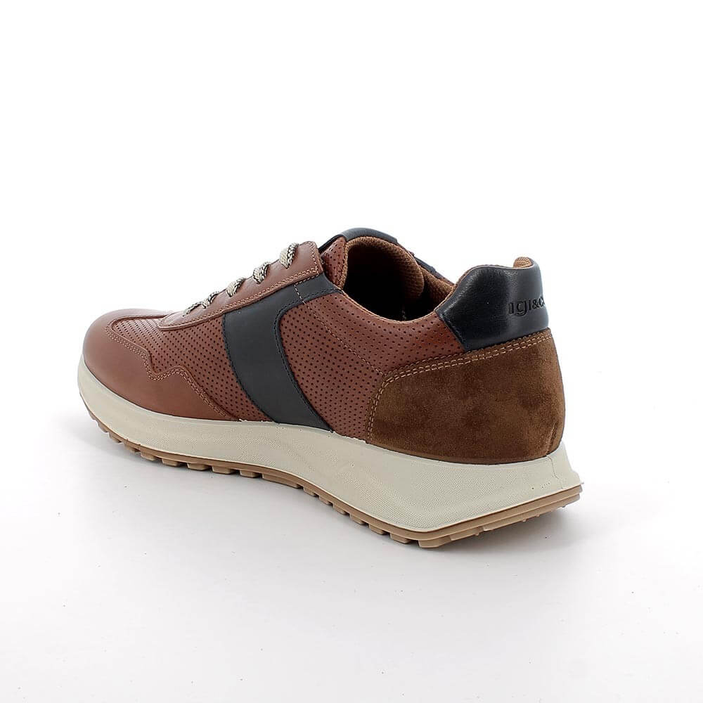 Igi & Co Brown leather sneaker with black accent on a white background