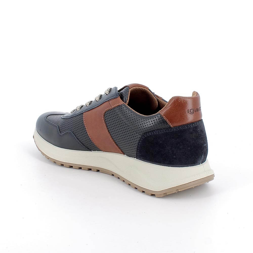 Igi & Go Navy and brown leather sneaker 