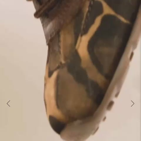 A video of Hispanitas  single brown sneaker with an abstract leopard-like pattern in shades of brown, black, and tan,  