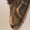 A video of Hispanitas  single brown sneaker with an abstract leopard-like pattern in shades of brown, black, and tan,  